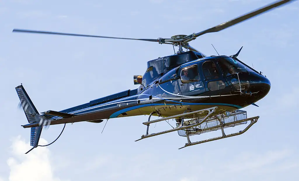 Airbus H125